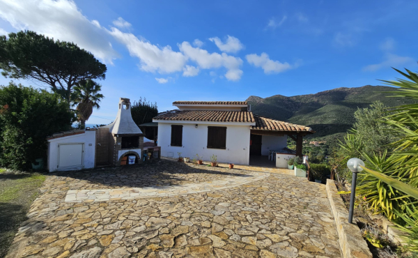 WhatsApp Image 2026-02-06 at 15.45.291