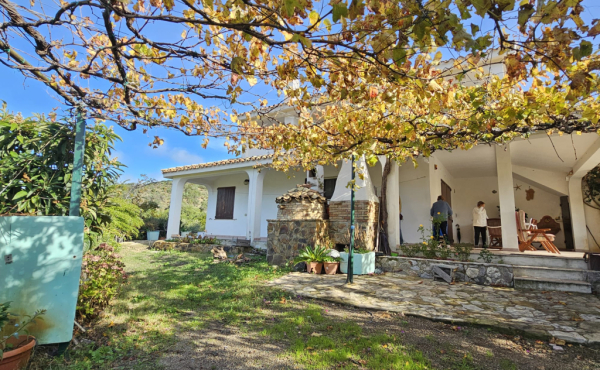 WhatsApp Image 2026-02-06 at 15.45.48