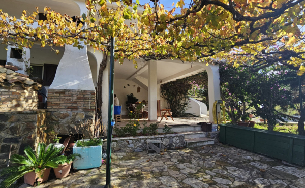 WhatsApp Image 2026-02-06 at 15.45.491