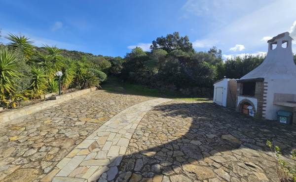 WhatsApp Image 2026-02-06 at 15.45.593